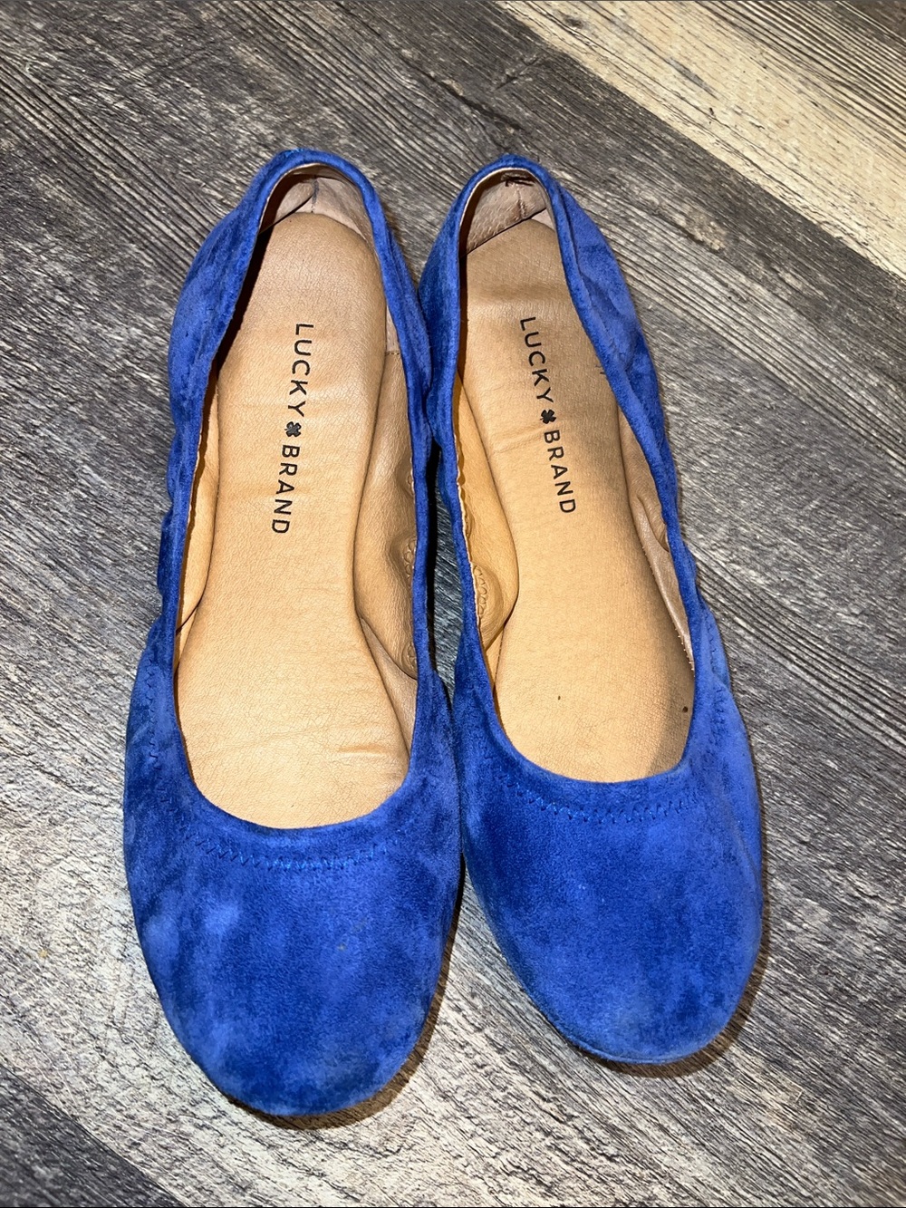 Lucky Brand Royal Blue Suede Ballet Flats Shoes Size 9